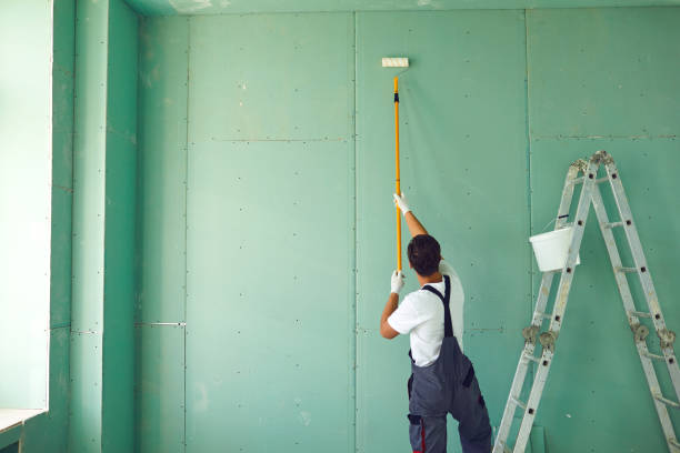 Best Emergency Mold Remediation  in New Hartford Center, CT