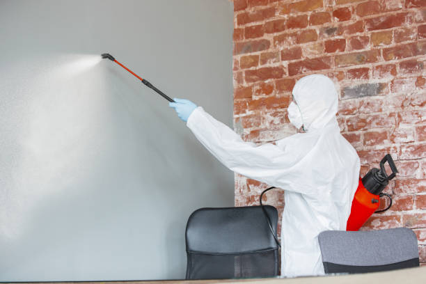 Best Mold-Related Health Consultation  in New Hartford Center, CT