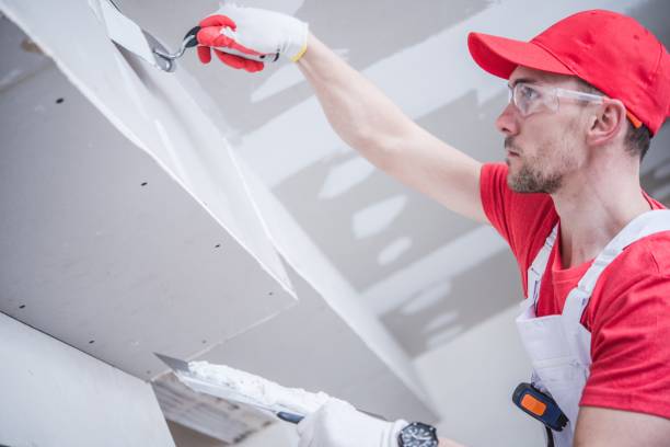 Best Black Mold Removal  in New Hartford Center, CT